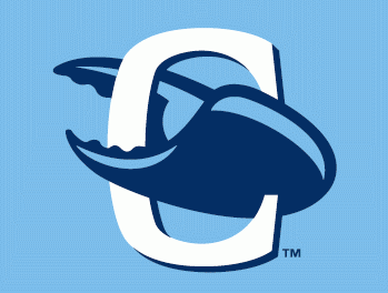 Charlotte StoneCrabs cap logo 2009-pres v2 iron on heat transfer